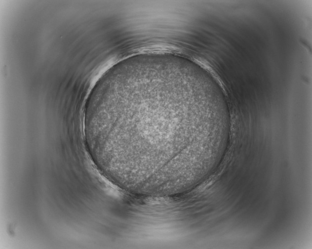 X0000099571083200806131251