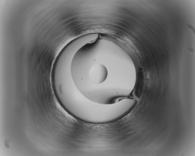 X0000099571084200806131251