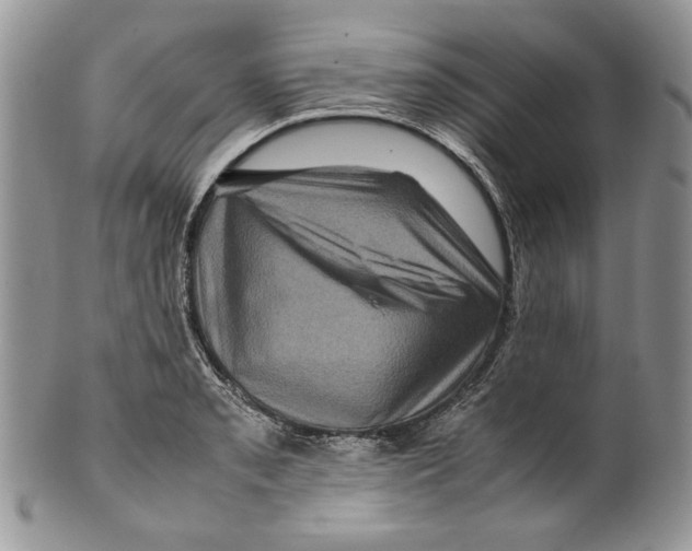 X0000099571085200806131251