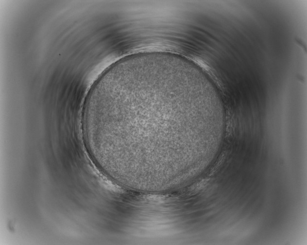 X0000099571086200806131251