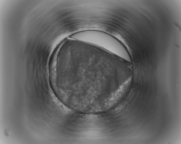 X0000099571088200806131251