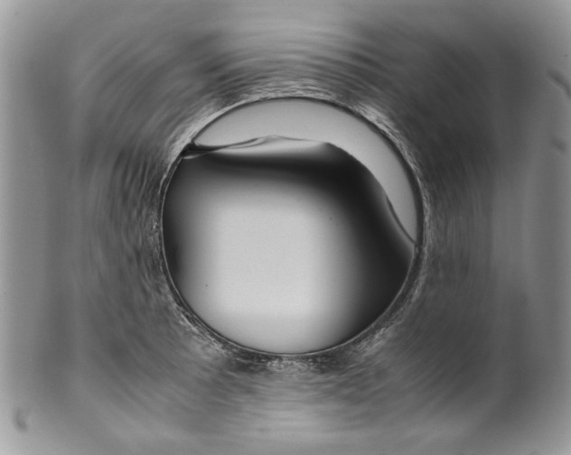 X0000099571089200806131251