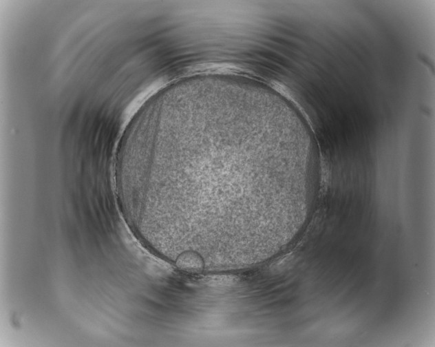 X0000099571090200806131251