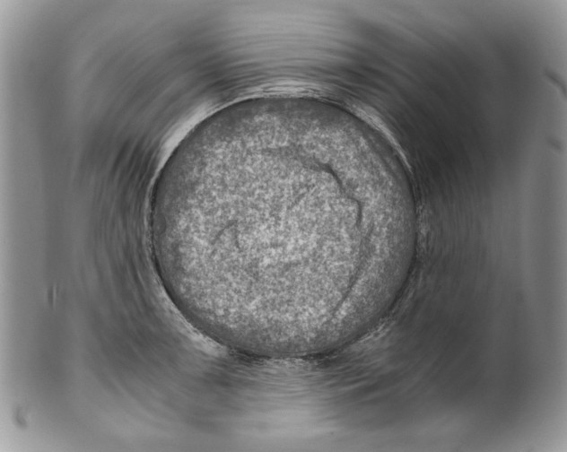 X0000099571091200806131251