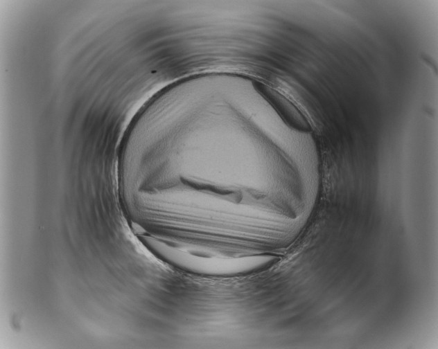 X0000099571092200806131251