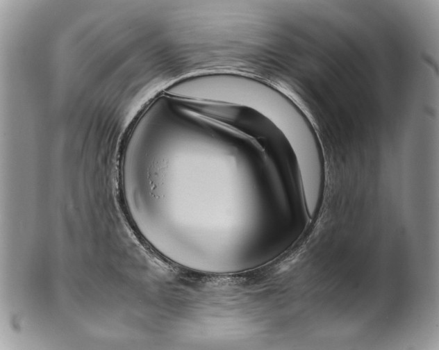 X0000099571093200806131251