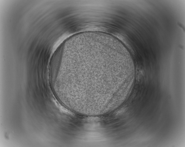 X0000099571094200806131251