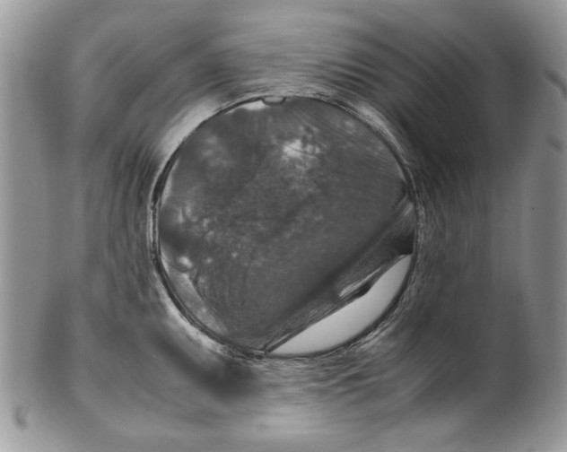 X0000099571095200806131251
