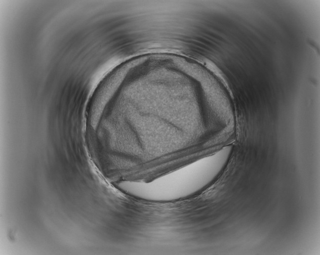 X0000099571096200806131251