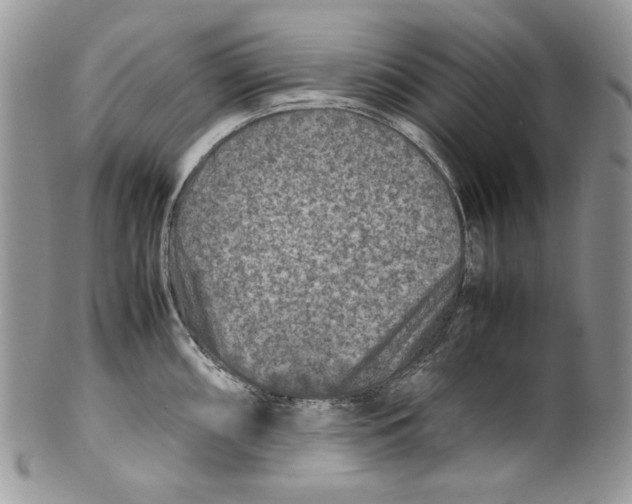 X0000099571098200806131251