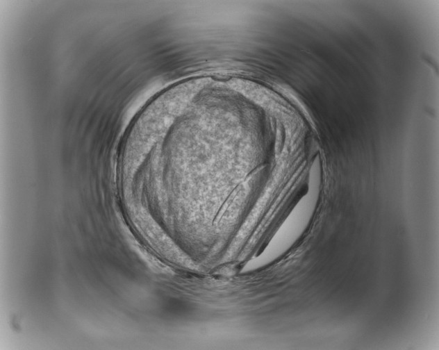 X0000099571099200806131251