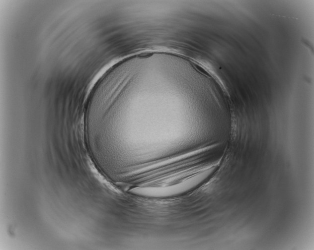 X0000099571100200806131251