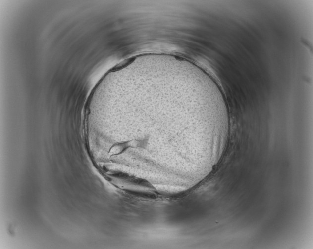 X0000099571103200806131251