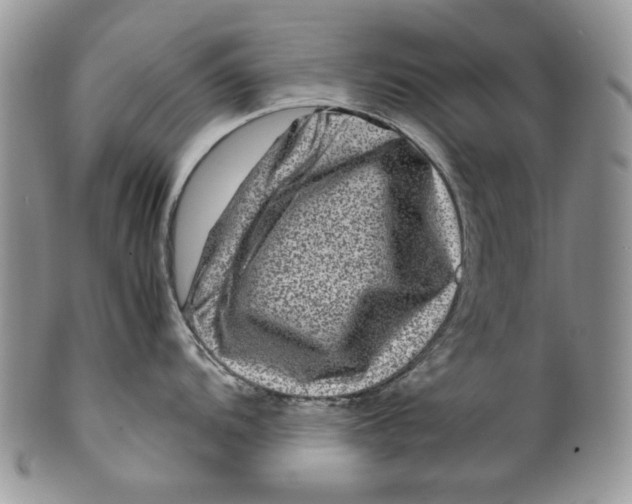 X0000099571104200806131251