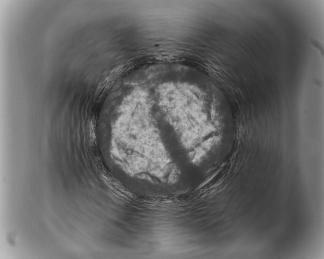 X0000099571106200806131250