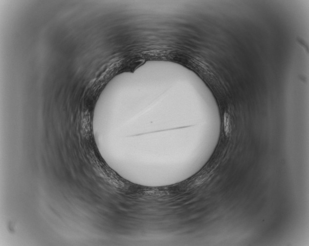 X0000099571107200806131250