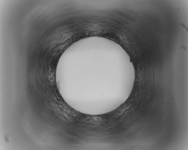 X0000099571109200806131250