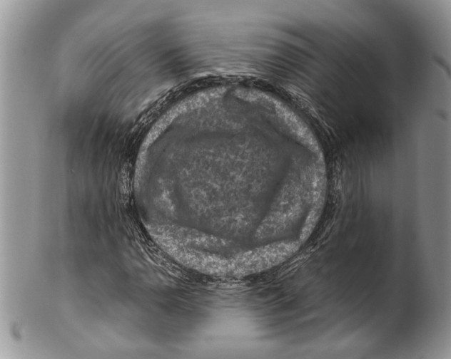 X0000099571110200806131250
