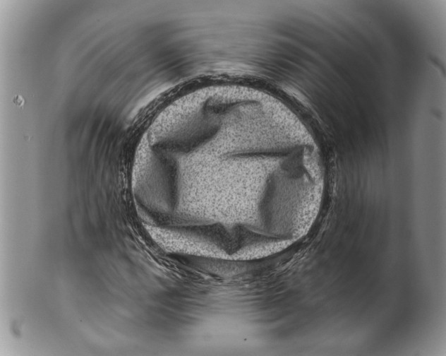X0000099571112200806131250