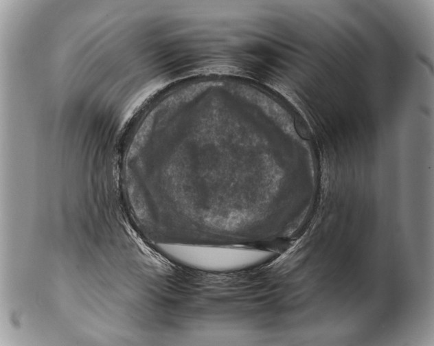 X0000099571115200806131250