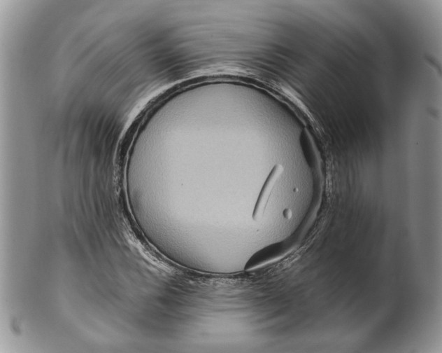 X0000099571116200806131250