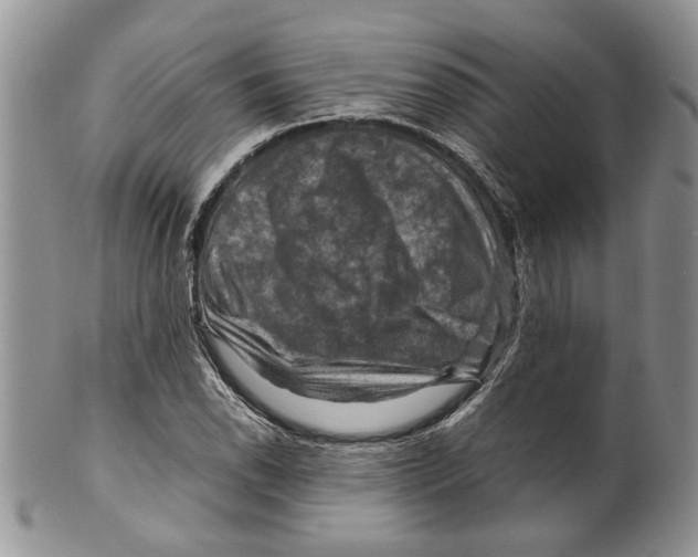 X0000099571118200806131250