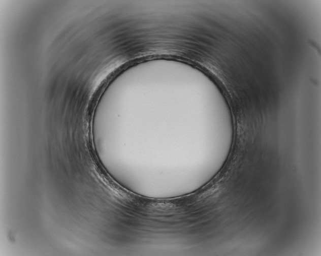 X0000099571119200806131250