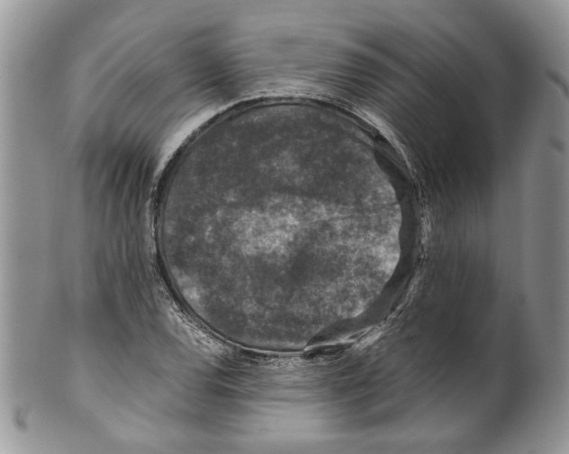 X0000099571120200806131250