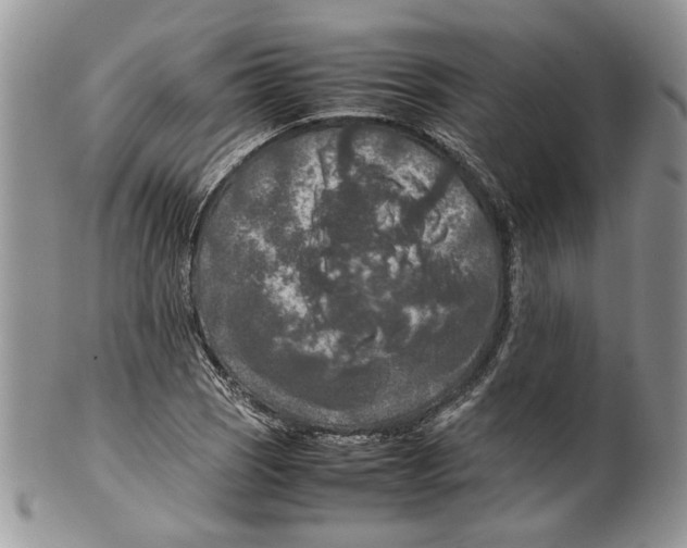 X0000099571121200806131250
