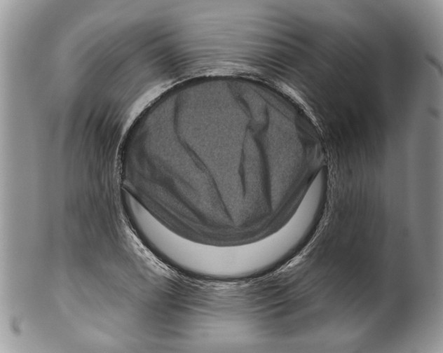 X0000099571122200806131250