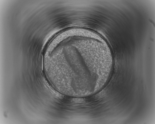 X0000099571123200806131250