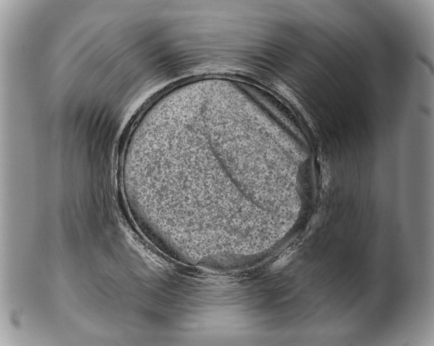 X0000099571124200806131250