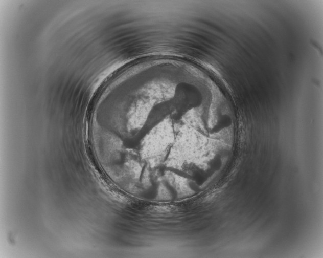 X0000099571125200806131250