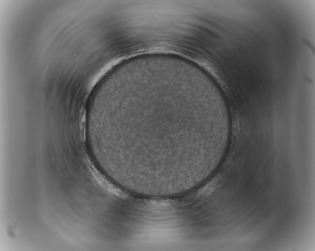 X0000099571126200806131250