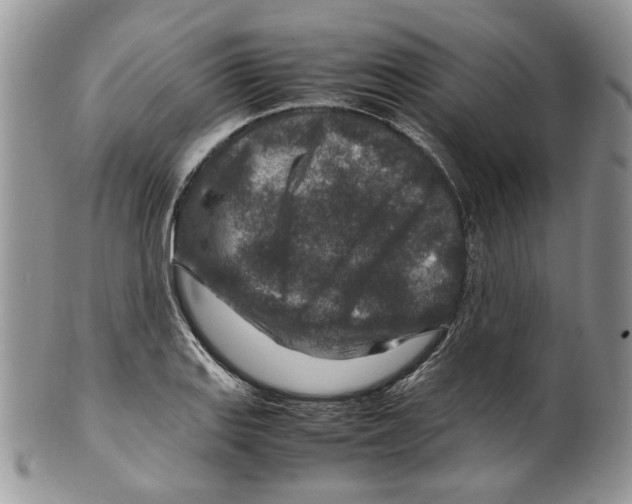 X0000099571127200806131250