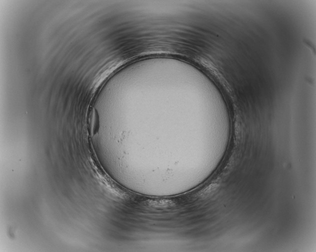 X0000099571129200806131250
