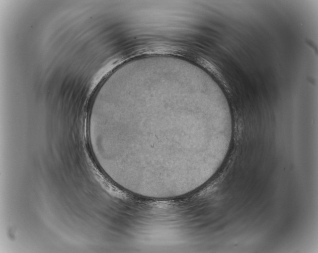 X0000099571130200806131250