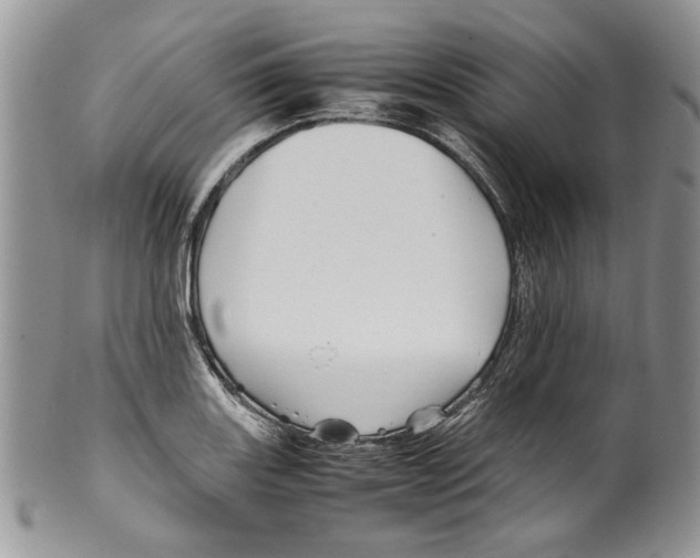 X0000099571131200806131250