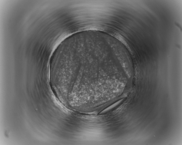 X0000099571132200806131250
