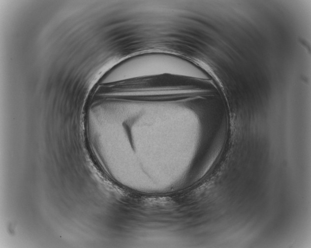 X0000099571133200806131251