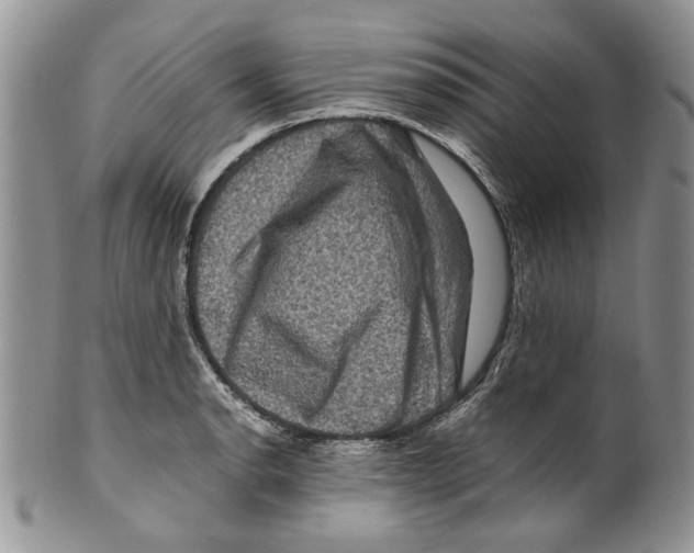 X0000099571134200806131251