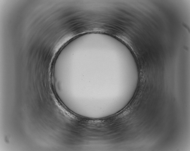 X0000099571135200806131251