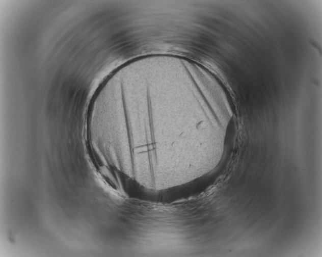 X0000099571136200806131251