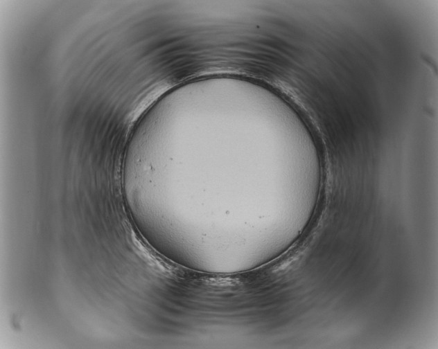 X0000099571137200806131251