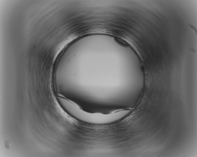X0000099571139200806131251