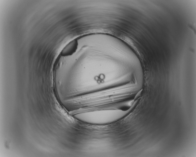X0000099571140200806131251