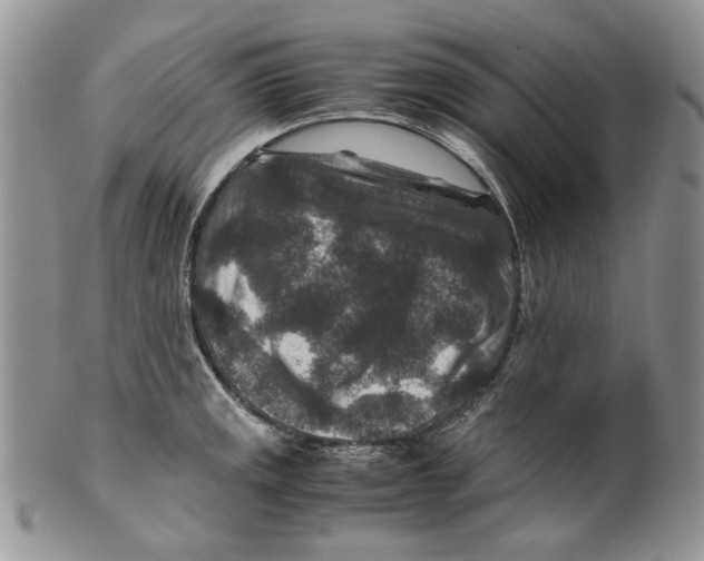X0000099571141200806131251