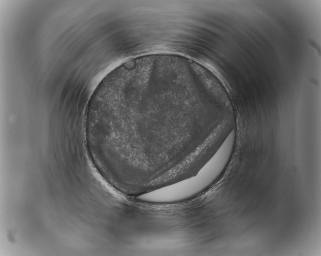 X0000099571142200806131251