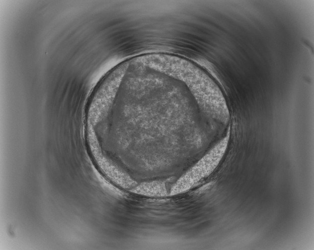 X0000099571143200806131251