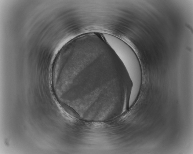X0000099571144200806131251